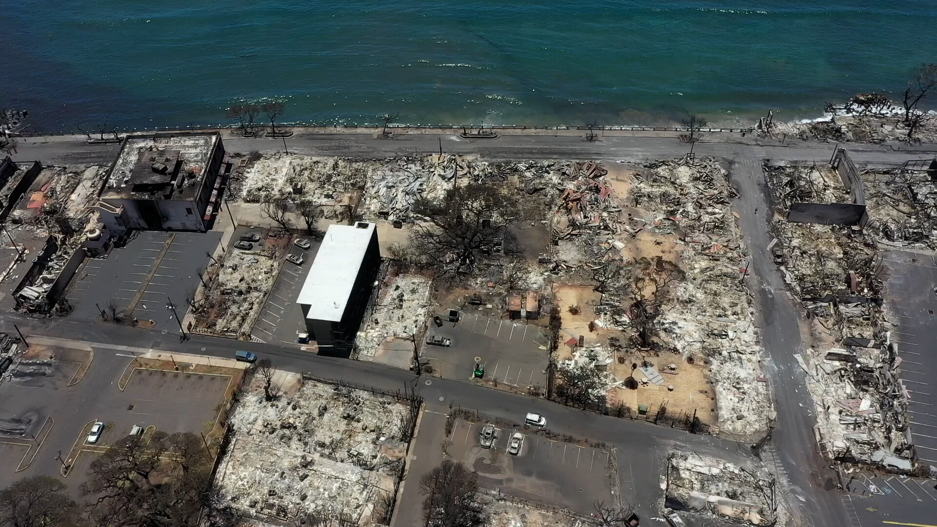 Maui Wildfire Lawsuit | Watts Law Firm